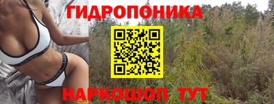эйфоретик Донецк