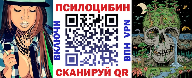 Галлюциногенные грибы Psilocybine cubensis  Котельники 